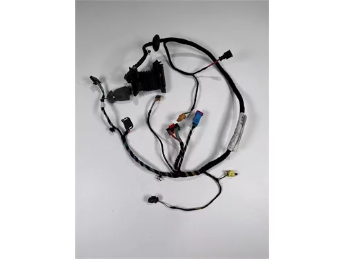 Svazek elektrické instalace dveří, 5L0 971 120 DA