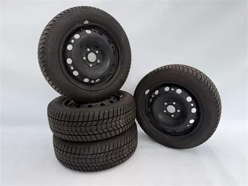 Plechové disky + Zimní pneumatiky Sava 195/55 R15, ZP63